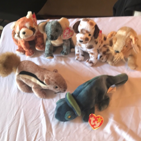 TY Beanie Baby Collection. - Picture 3 of 6